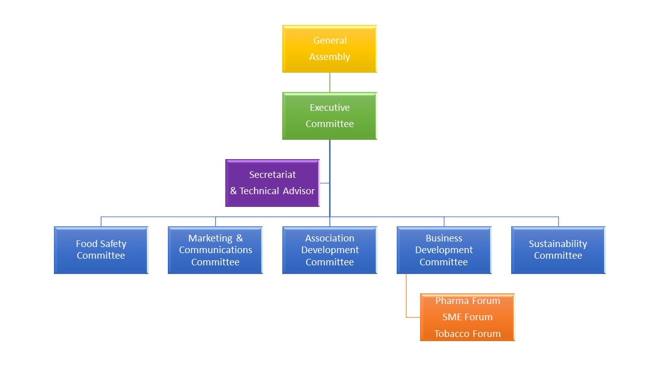 ECMA Organisation Structure